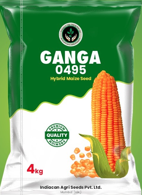 GANGA 0495 - Double Cross Maize