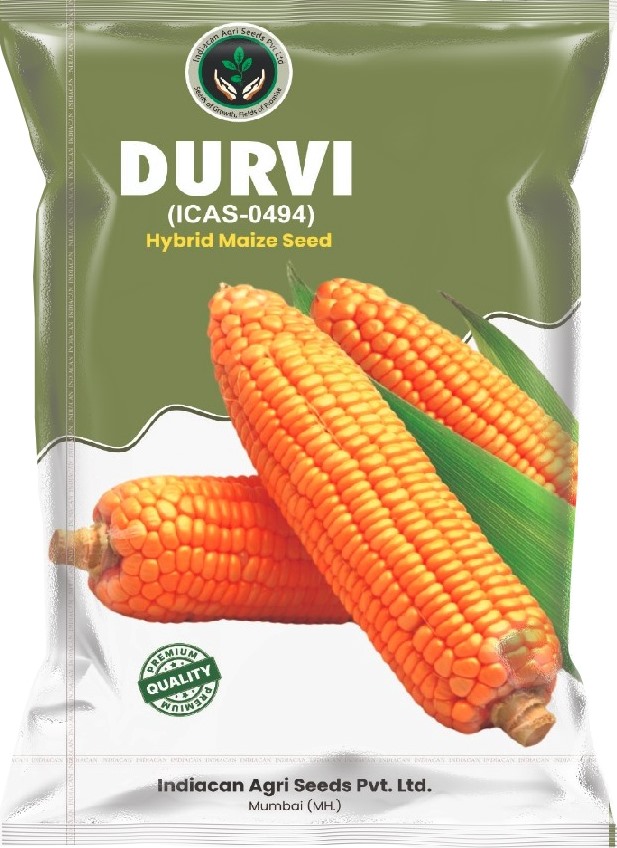 DURVI (ICAS-0494) - Single Cross Maize